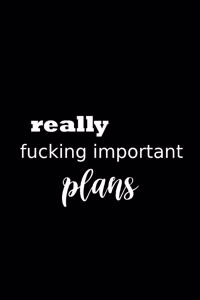2020 Daily Planner Funny Humorous Really Fucking Important Plans 388 Pages