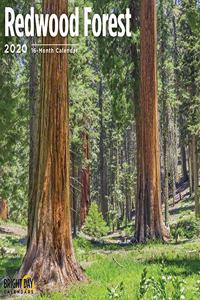 REDWOOD FOREST CALENDAR 2020