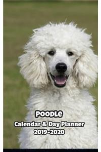 Poodle Calendar & Day Planner 2019-2020