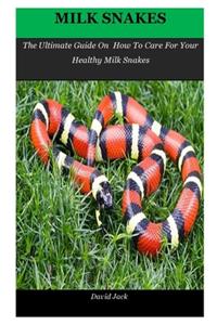 Milk Snakes
