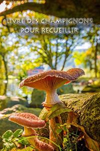 Livre des champignons pour recueillir