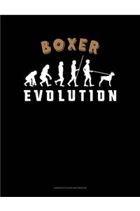 Boxer Evolution