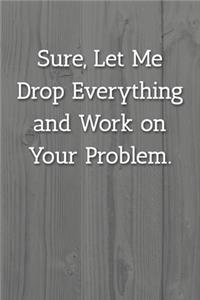 Sure, Let Me Drop Everything and Work on Your Problem. Notebook