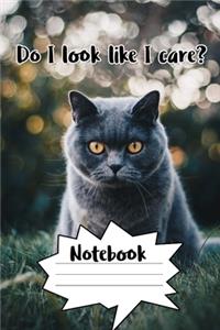 Do I Look Like I Care? Notebook