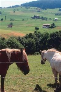 2020 Weekly Planner Horse Photo Equine Horses Scenic Hill 134 Pages