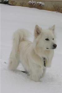American Eskimo Dog in the Snow Journal