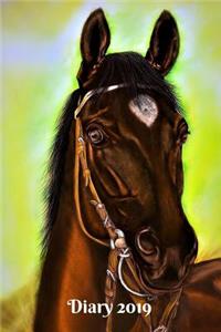 Diary 2019