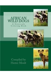 African Wild Dogs