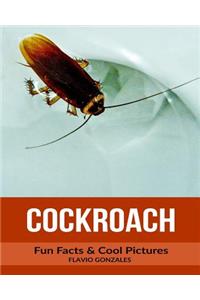 Cockroach: Fun Facts & Cool Pictures