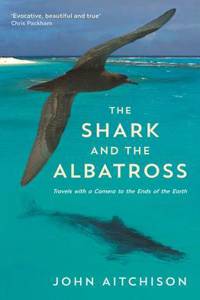 The Shark And The Albatross