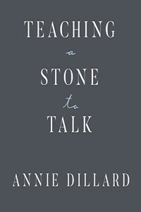 Teaching a Stone to Talk