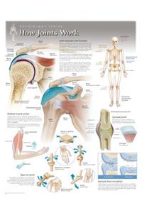 How Joints Work Wall Chart