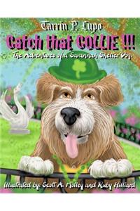 Catch That Collie