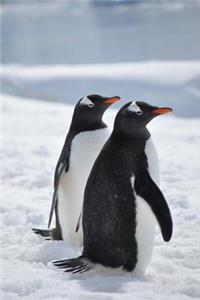 Two Gentoo Penguins in the Snow Journal
