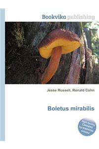 Boletus Mirabilis