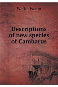 Descriptions of New Species of Cambarus
