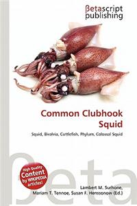 Common Clubhook Squid