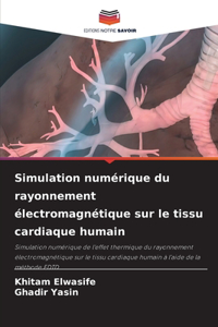 Simulation numérique du rayonnement électromagnétique sur le tissu cardiaque humain