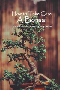 How to Take Care A Bonsai