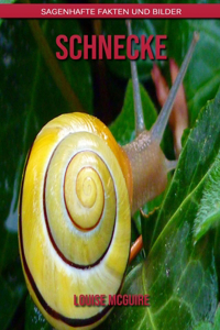 Schnecke