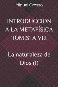 Introducción a la Metafísica Tomista VIII