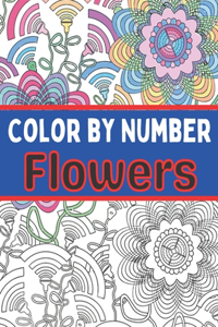 Color By Number Flowers