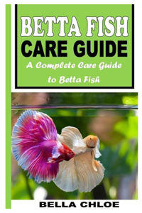 Betta Fish Care Guide