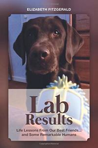 Lab Results