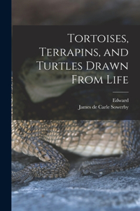 Tortoises, Terrapins, and Turtles Drawn From Life