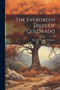 Evergreen Trees Of Colorado