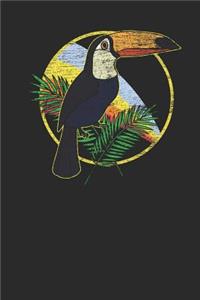 Toucan