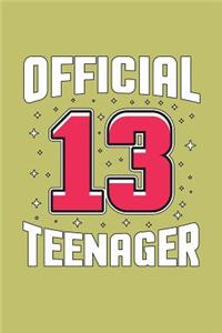 Official 13 Teenager
