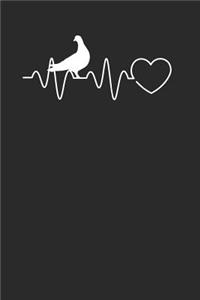 Pigeon Heartbeat