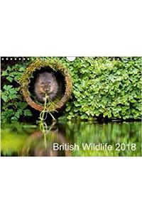 British Wildlife 2018 2018