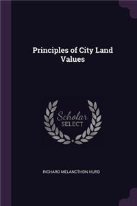Principles of City Land Values