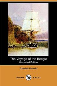 Voyage of the Beagle (Illustrated Edition) (Dodo Press)