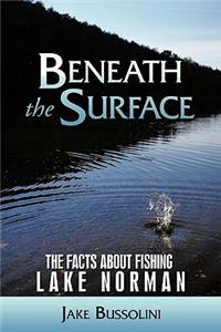 Beneath the Surface