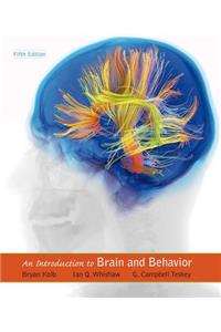 An Introduction to Brain and Behavior
