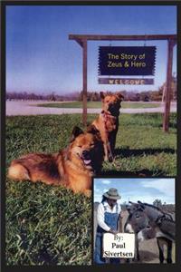 Story of Zeus and Hero