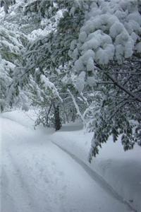 Winter Journal: 160 Page Lined Journal/Notebook