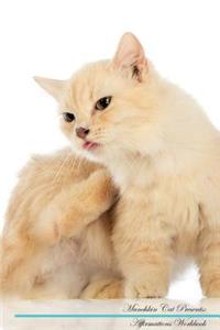 Munchkin Cat Affirmations Workbook Munchkin Cat Presents