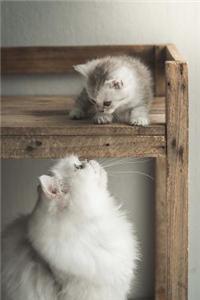 Persian Mother Cat and Baby Kitten Journal