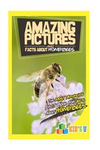 Amazing Pictures and Facts about Honeybees