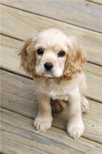 A Little Blonde Cocker Spaniel Puppy Dog Journal