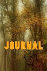 Journal