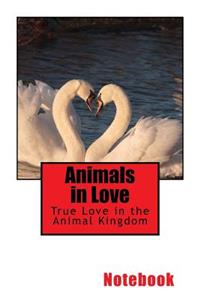 Animals in Love