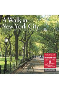 WALK IN NEW YORK CITY 2020 WALL CALENDAR