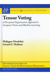 Tensor Voting
