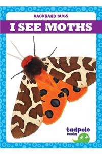 I See Moths