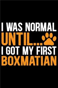 I Was Normal Until I Got My First Boxmatian